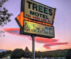 Hotel Trees Motel