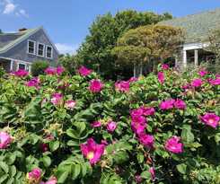 Hotel Sea Breeze Inn