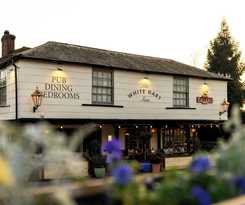 Hotel The White Hart