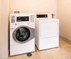 Hotel Holiday Inn Express and Suites Tampa North - Wesley Chapel by IHG
