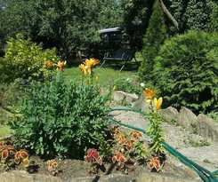 Hotel Flowering garden