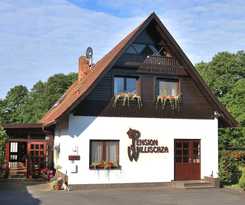  Willischza