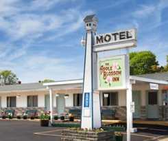 Hotel Apple Blossom Boutique