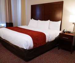 Hotel Lotus BLU Inn and Suites