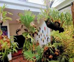 Hotel parrot house san antonio