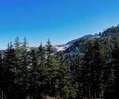 Hotel Gulmarg Height Homestay Kufri Shimla