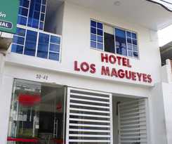 Hotel los magueyes