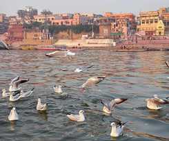 Hotel Shiv Kashi P Guest House By Glitzs