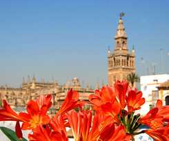Boutique Casas De Santa Cruz