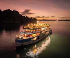 Hotel Cycad Cruise