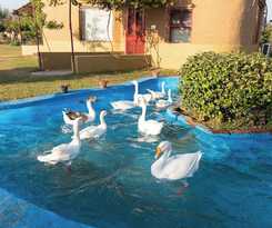 Hotel Arise Rustic Village Resort