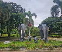 Hotel Kaengkrachan Diamond Green Resort