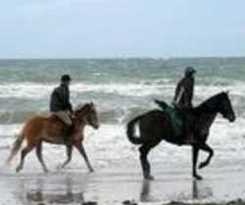 Hotel SONNENHOTEL PRINCESS