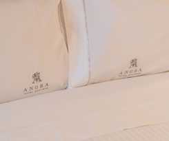 Hotel Boutique Anora