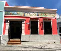 Hotel Terranova SM