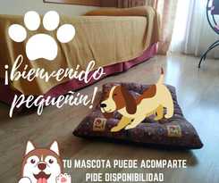 El Cruce