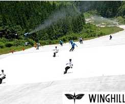  Hotel Villa Wing - Vacation STAY 43150v