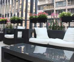 Blue Angel Nyc, Ascend Collection