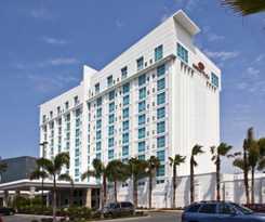 Alba Tampa, Tapestry Collection by Hilton de Tampa