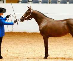 Hotel Talking Stick Resort