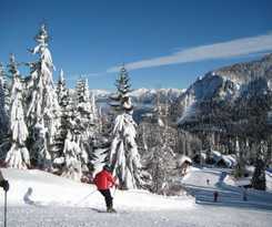 Hotel Alpenhotel Plattner