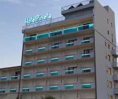 Hotel Pineta