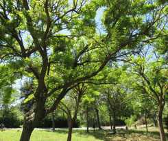  Camping Torre Mucchia