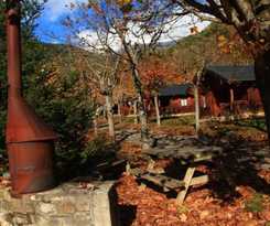 Hotel Hotel, Bungalows y Camping Viu