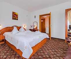 Hotel Pensiunea turistica Andra