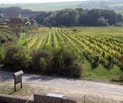 Hotel Vinice Hnanice