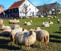  Hotel,Herberg & Appartementen de Smidse