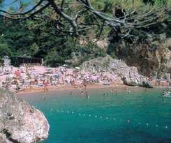 Camping Pola Camping