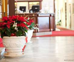 Hotel Grand and Des Anglais