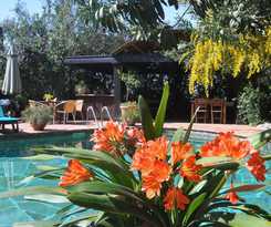 Hotel El Vino Suites - Special Class