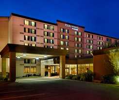 Hotel Four Points By Sheraton Toronto Airport