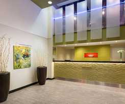 Nyma The New York Manhattan