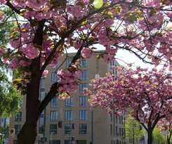 Hotel H+ 4 Youth Berlin Mitte