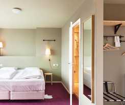 The Neighbour's Magnolia