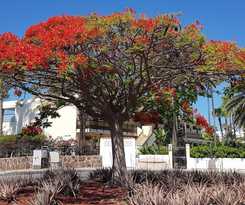 Apartamentos Vip Nogal