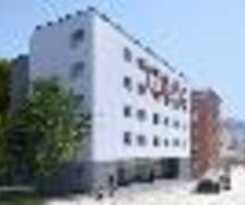 OCHSEN 2