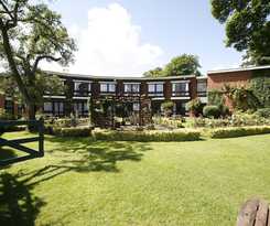 Legacy Rose and Crown