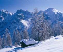 Hotel Ferienwohnungen