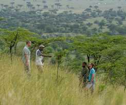 Hotel Serengeti Serena Safari Lodge