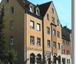Augsburg Goldener Falke
