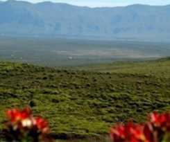 Hotel GROOTBOS NATURE RESERVE