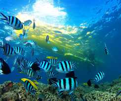 Hotel Southern Beach and Resort Okinawa