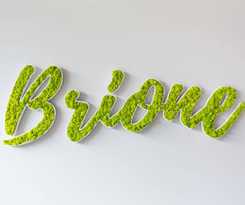 Hotel Brione Green Resort