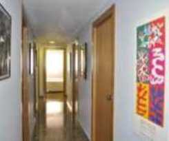 Accom Palacios