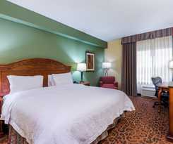 Hotel Hampton Inn By Hilton West Palm Beach Central Airport