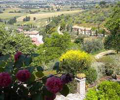 Agriturismo Poggio Degli Olivi - Guest House